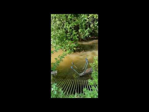 Pollution in the Gaywood River, campaigner Peter Clitheroe talks through his thoughts