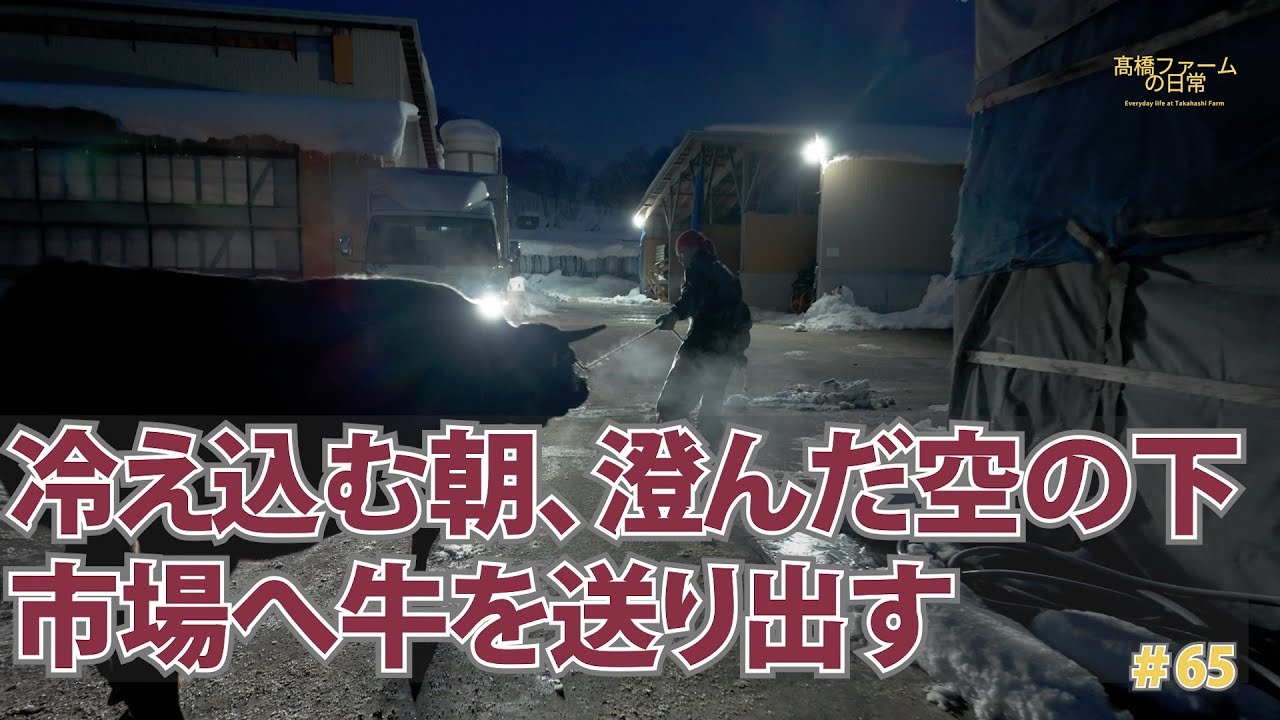 【市場出荷】冷たい朝、澄んだ空の下…市場へ牛を送り出す「髙橋ファーム」の日常＃65