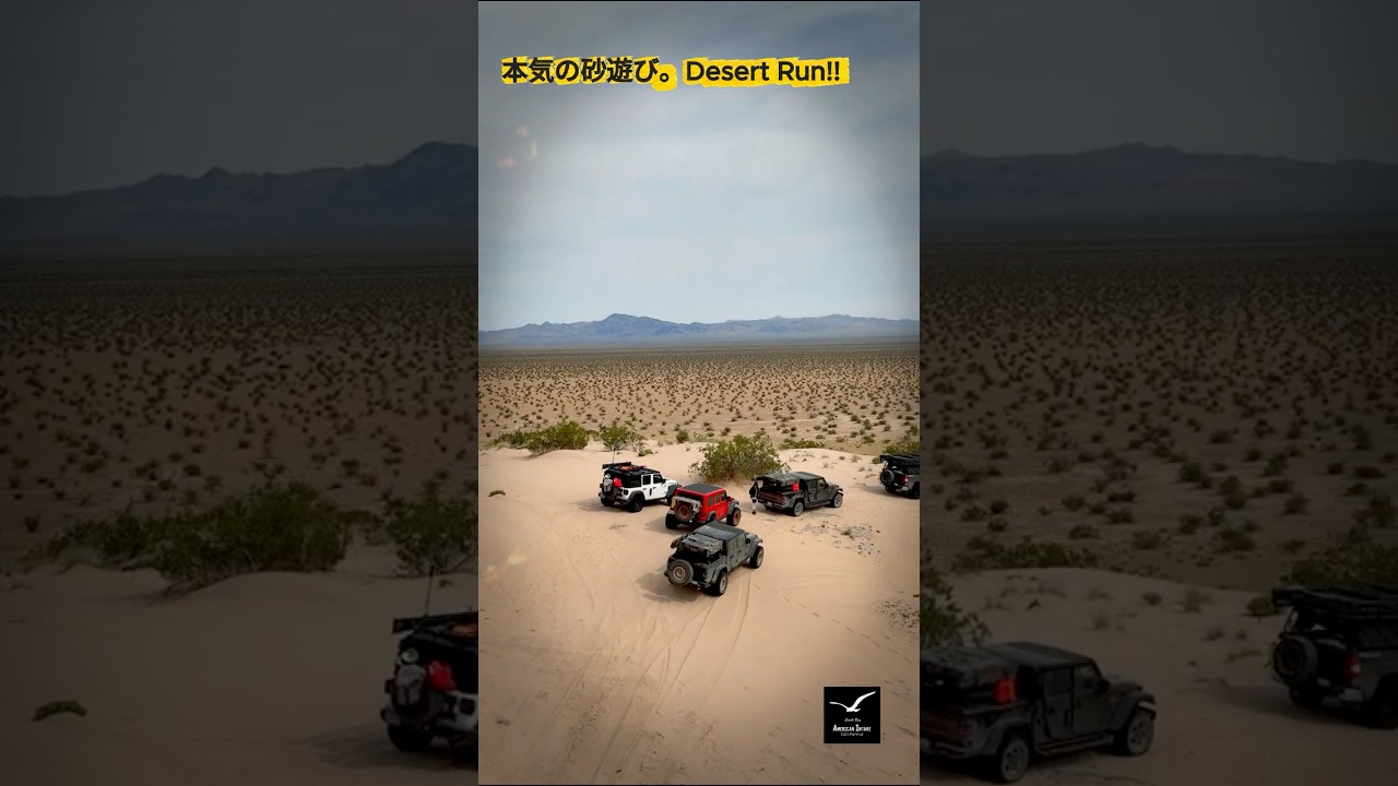 【本気の砂遊び🏜️Desert Run!】Mojave road Overlanding #overland #offroad #mojave #4x4
