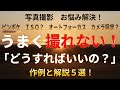 【写真撮影・お悩み解決】ピンボケ・ＩＳＯ？・オートフォーカス？ カメラ設定？うまく撮れない！どうすればいいの？プロの作例と解説５選！
