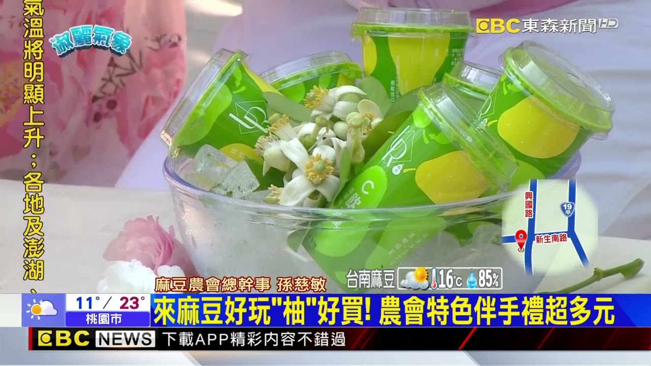 【淑麗趴趴GO】春天限定氣息 柚花香淡雅 滿園盛開香氣撲鼻 @newsebc