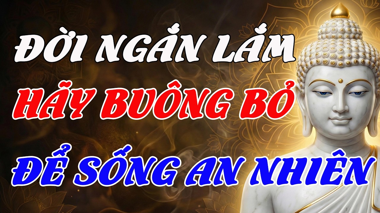 ĐỜI NGƯỜI NGẮN LẮM, HÃY BUÔNG BỎ ĐỂ SỐNG AN NHIÊN – TRÍ TUỆ PHẬT DẠY CHO NGƯỜI THỨC TỈNH