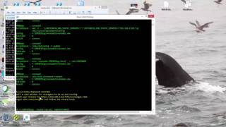 Install NVE Using labbuildr