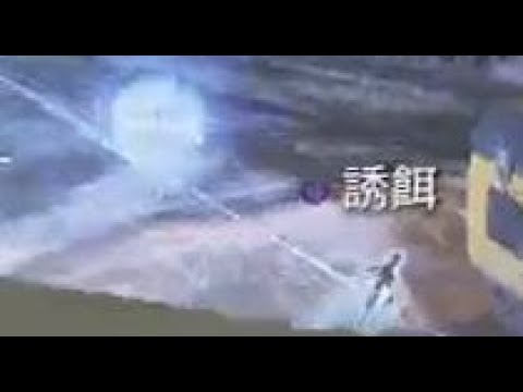 APEX 電到北部粽