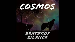 Cosmos(Original Mix)
