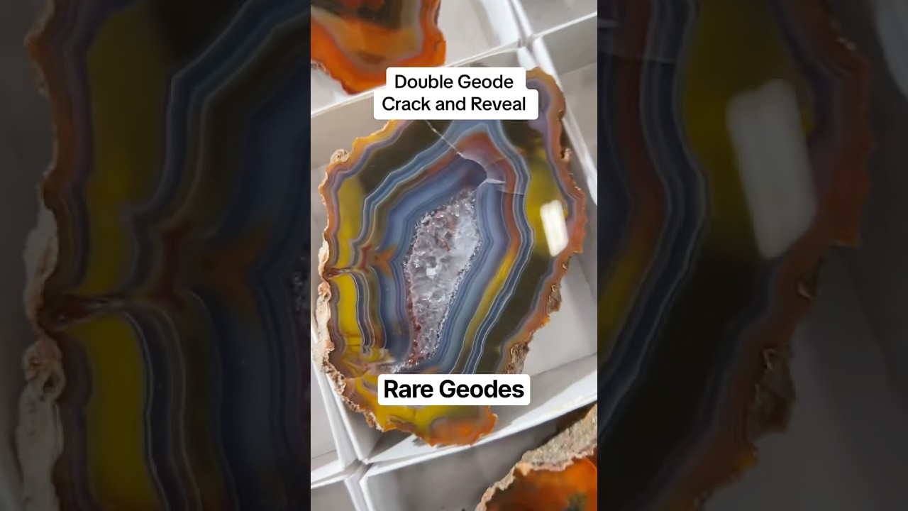 Geode Reveal #geode #rockhound #rockhounding #geode #agate #crystals #condor #geology #gems #rocks