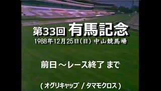 稲妻２世芦毛タマモクロス写真パネル（１９８８年１２月２５日中山有馬記念）引退記念 ☆ 明日は何の日 1月15日 ☆ 1989年1月15日（祝・日）の「成人の日