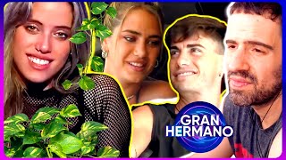 ¿EL FIN DE GRAN VIVERO?