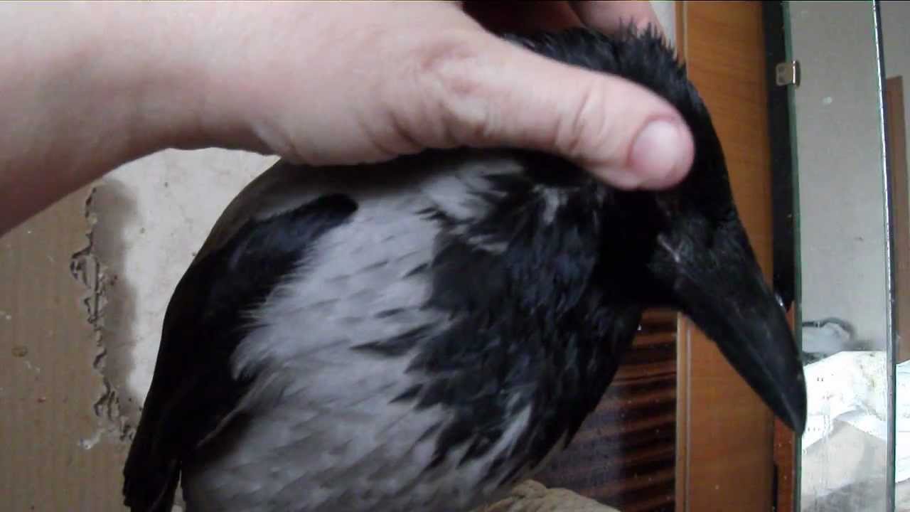 ������������