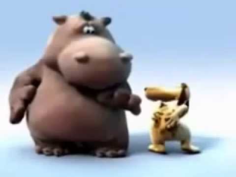 happy-birthday-song-hippo-&-dog-funny