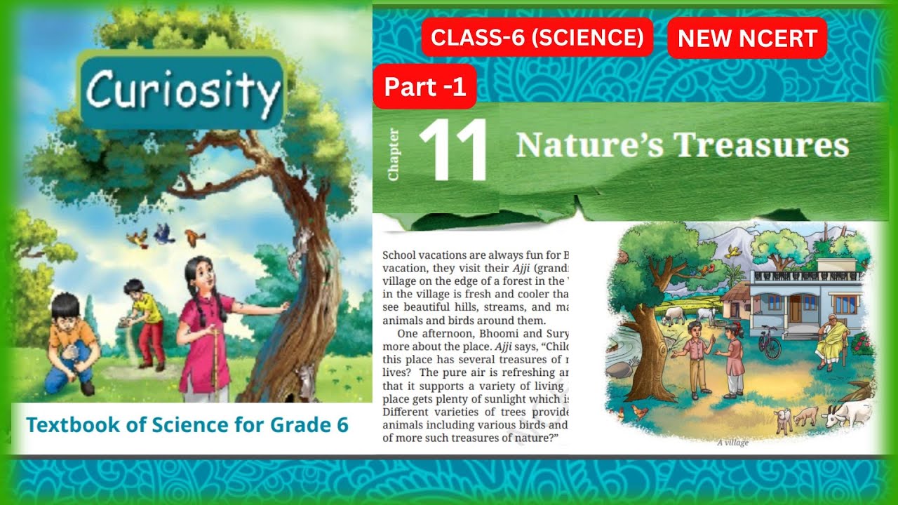 Nature’s Treasures |Chapter - 11 | Class 6 Science |CURIOSITY | Part-1 ...
