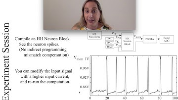 FPAA Experiment: HH Transistor Channel Model