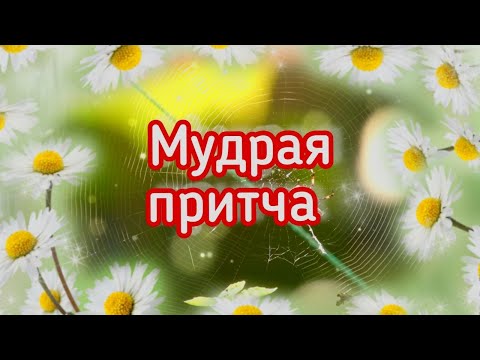 Мудрость Поколений. ПРИТЧА #притчи #мудрость #притча #смыслжизни #жизнь #душа #чудо #счастье #умные