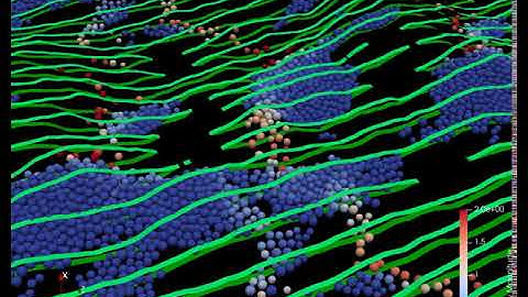 Particles in fracture geometry