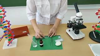 Писканың макросуреті