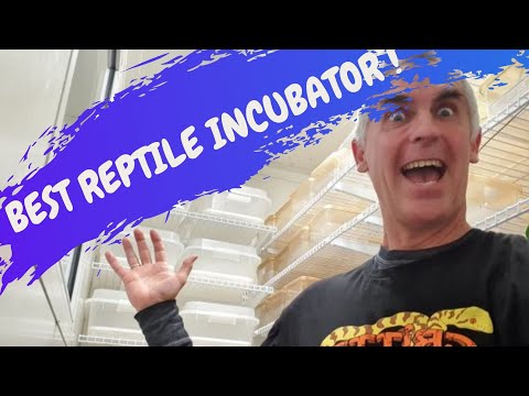 BEST REPTILE INCUBATOR  EVER - CrittaCam