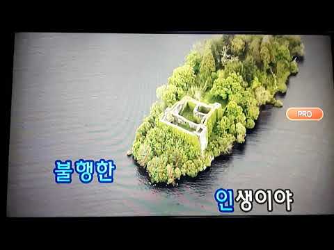 내로 남불  # 노래/조희 💃 (김두일/원곡 )