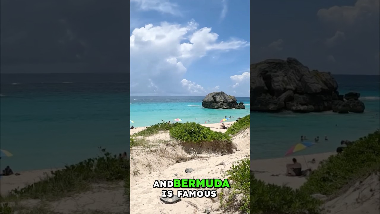 Bermuda Cruise Guide | Beautiful Beaches You Need to See!