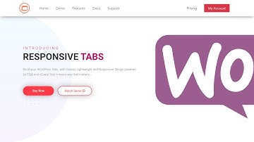 How to add WooCommerce Custom Product Tabs by using Responsive Tabs