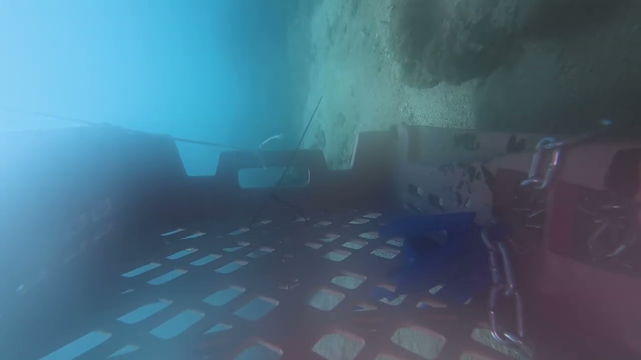 Sumergí una cámara en Isla de Sacrificios… y esto fue lo que pasó 🐟 2/2