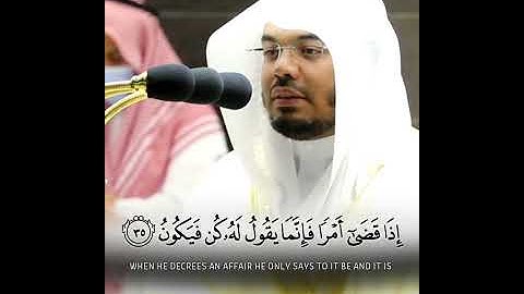 مَا كَانَ لِلَّهِ أَن يَتَّخِذَ مِن وَلَدٍ ~ تلاوة جميلة تريح القلوب للشيخ ياسر الدوسري 😴🤍