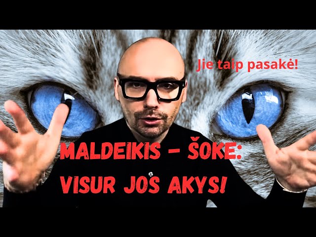 Šokiruojančiame video Maldeikis papasakojo apie Janutienę class=