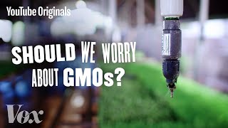 Should We Be Worried About GMOs?  Glad You Asked S1