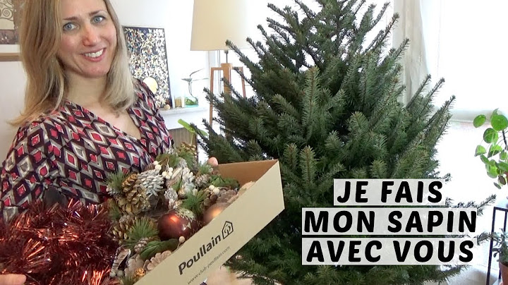 ON DÉCORE LE SAPIN DE NOËL 🎄