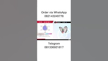 Butterfree - Pokemon Sword and Shield