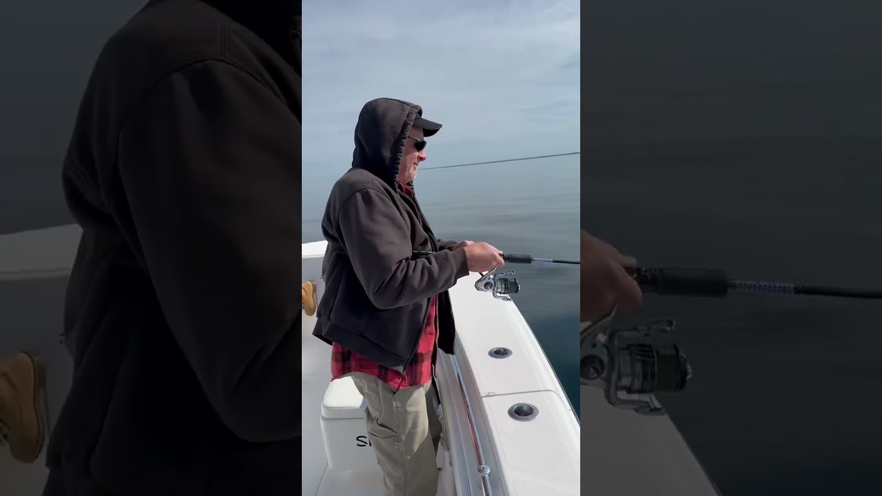 Cape Cod Striped Bass Fishing Has Begun! 