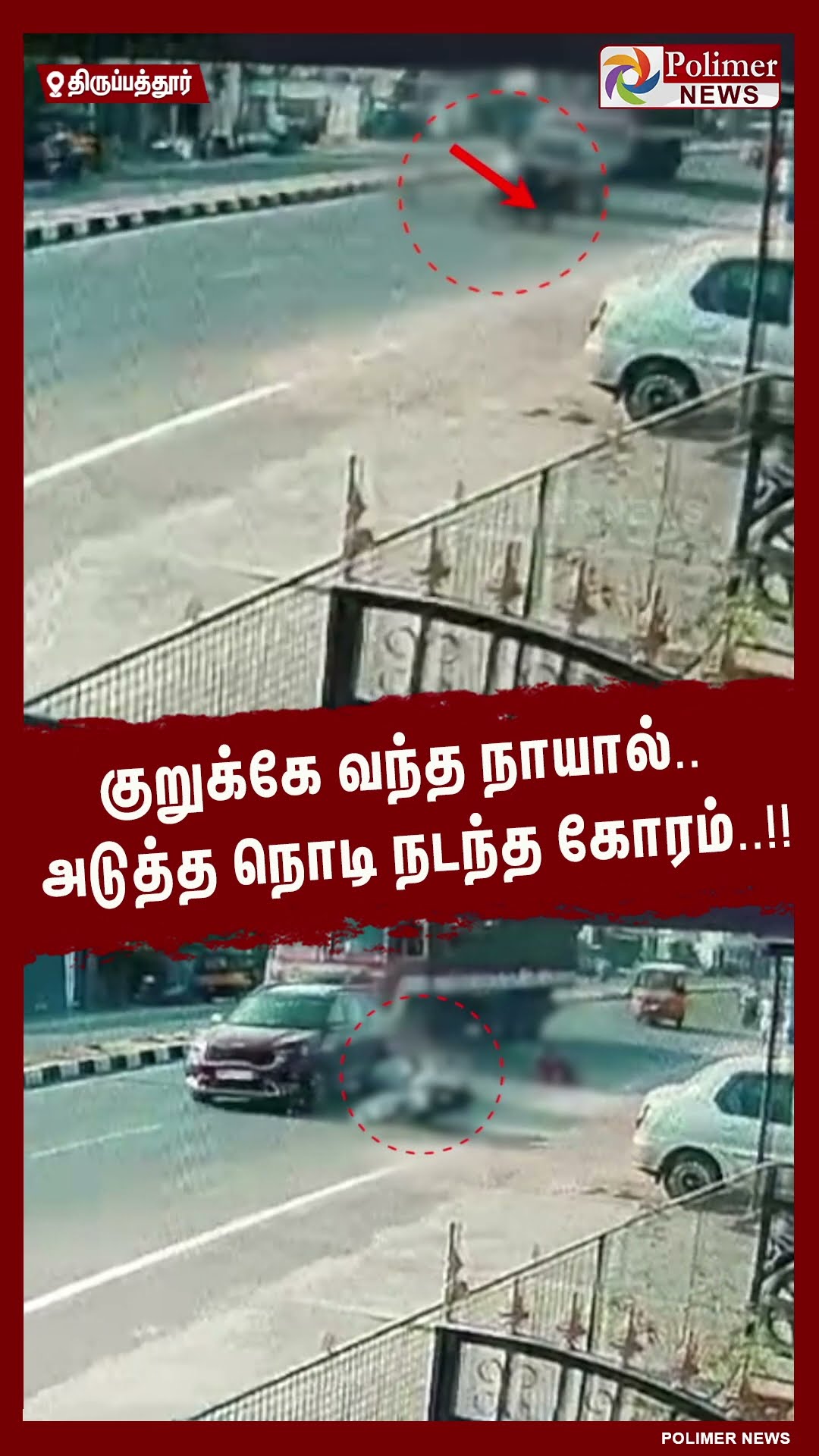 குறுக்கே வந்த நாயால்.. அடுத்த நொடி நடந்த கோரம்..!! #shorts | #dog | #accident