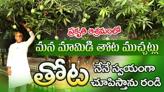 Mango Trees in Manthena Satyanarayana Raju Ashram | Vijayawada Ashramam | Dr. Manthena Official