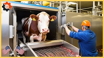 Modern Cow Slaughter Machine Using Super Advanced Machine!!! - Farming Documentary