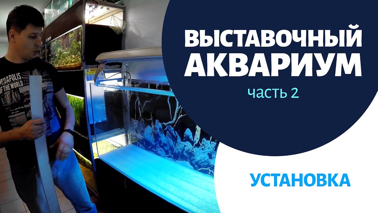 Выставочный аквариум 2. Установка аквариума и света - YouTube