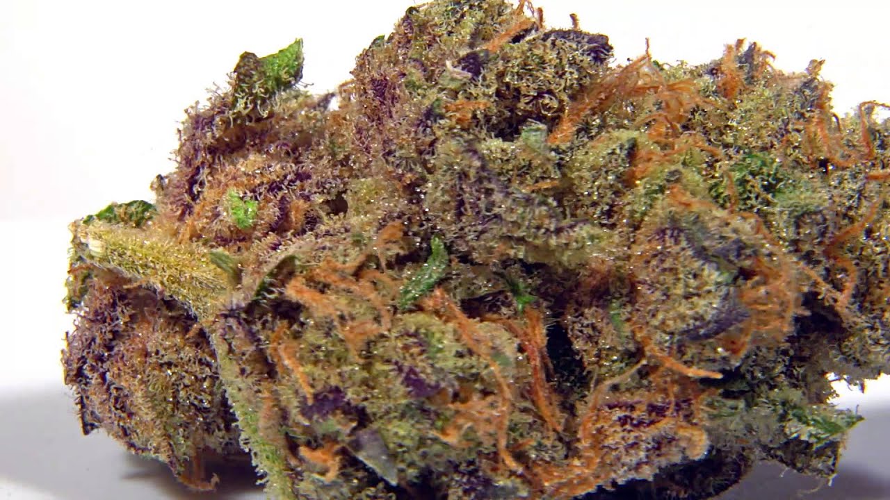 Mango Puff Dispensary near Canton Michigan YouTube