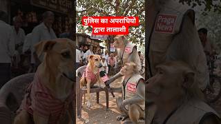 पुलिस का अपराधियो द्वारा तालाशी #funny #comedy #funny #dog #funnyvideo #monkeyvideo #dogs #doglove