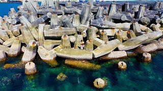 巨大テトラの先端で釣りしたら…？【沖縄本島全域釣り対決#2】