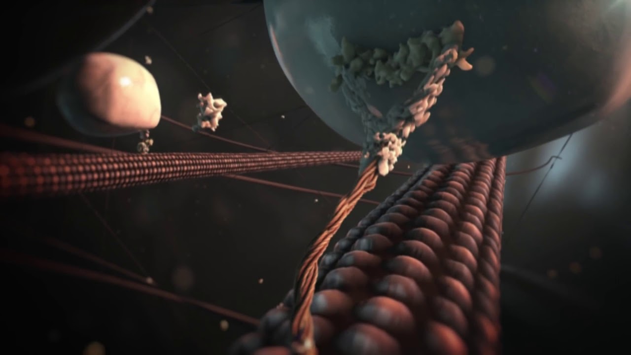 CracQ & Wiciu - Brain Gain Game