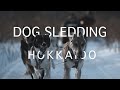 DOG SLEDDING TOUR HOKKAIDO | Mushing Works.feat Vantrip | α7sIII の動画、YouTube動画。