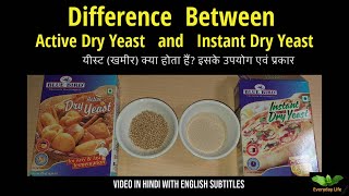 Difference between Active Dry Yeast and Instant Dry Yeast | यीस्ट (खमीर) क्या होता हैं | #78