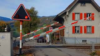 Bahnübergang Sachseln (CH) // Swiss Railroad Crossing