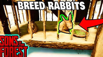How To Breed Rabbits In Sons Of The Forest Easy Guide