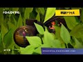 Fortnite ひょうきん族