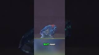 Find Diamonds in Nature: Uncover Hidden Riches! #shorts