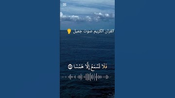 القران الكريم صوت جميل 👂 #الحمدلله #اكسبلور #القرآن_الكريم #الجزائر #duet #motivation #تيك_توك #دويت
