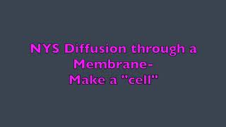 NYS Diffusion through a Membrane Lab- Make a "cell"