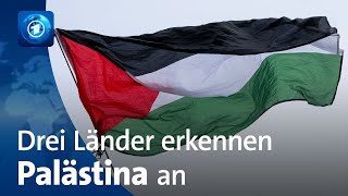 Norwegen, Irland und Spanien erkennen Palästina als Staat an｜tagesschau