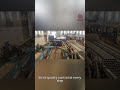 Source Factory Direct: GOWE Ringlock Scaffolding!