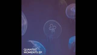 Quantec - Momentum II - Neighbour Recordings NBR02