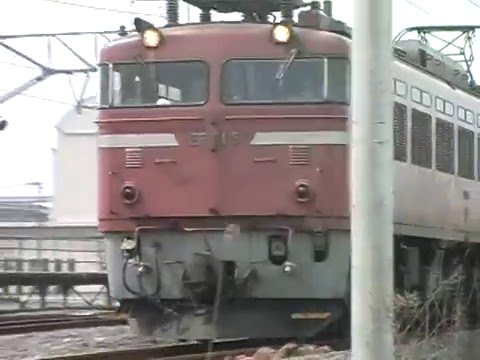 EF81 5号機 貨物列車 北陸線田村駅通過
